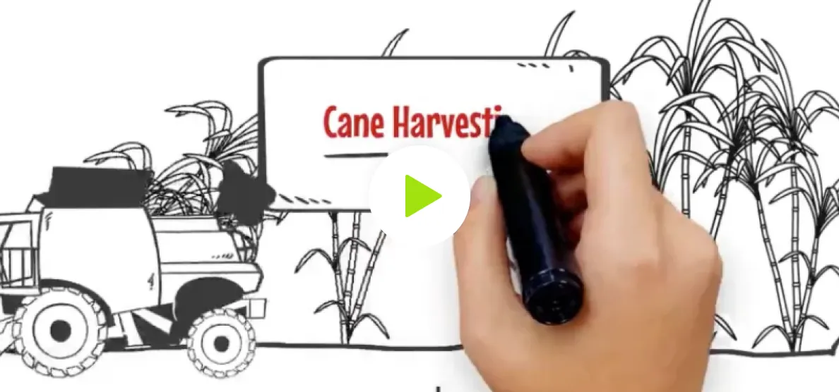 Whiteboard animation